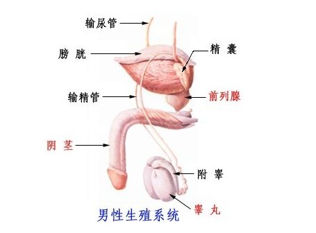 不射精患者的烦恼